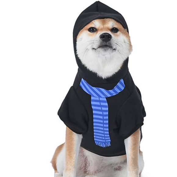 Harry Potter Wizarding World Ravenclaw Pet Hoodie - Picture 7 of 9